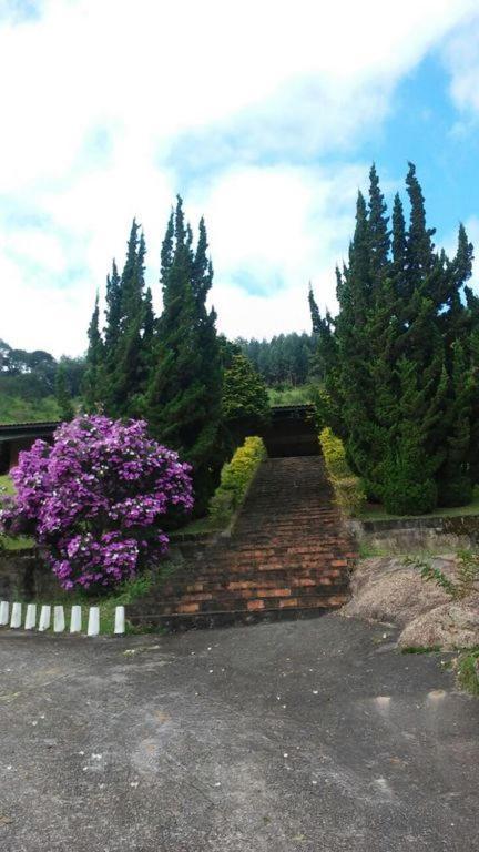 Вілла Fazenda Carpas Douradas Сан-Рокі Екстер'єр фото